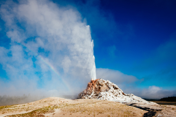 White Dome Geyser in Yellowstone National Park