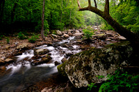 Richland Creek Wilderness