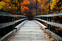 Fall Bridge
