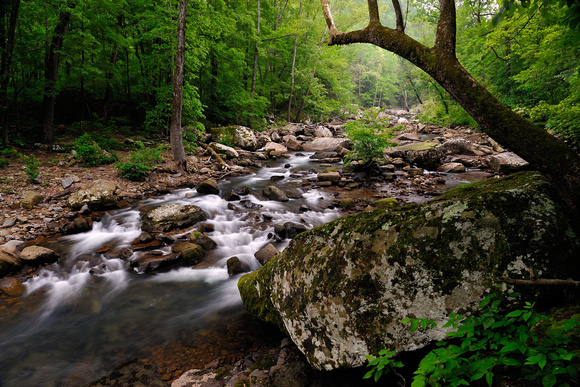 Richland Creek Wilderness