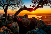 Petit Jean